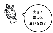 大きく育つと良いなあ☆