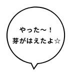 やった～！芽がはえたよ☆