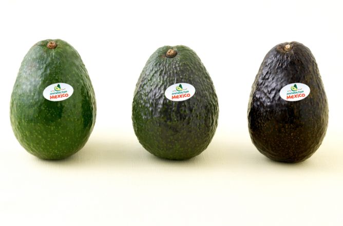 アボカド簡単how To Avocados From Mexico アボカドfromメキシコ アボカド簡単how To Avocados From Mexico アボカドfromメキシコ
