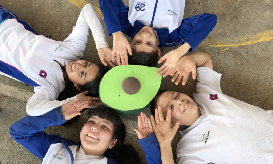 メキシコ産アボカドとSDGs